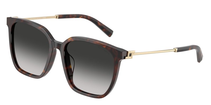 Tiffany & Co TF4244D-80153C