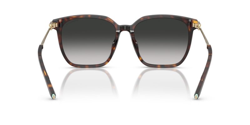 Tiffany & Co TF4244D-80153C - Back View