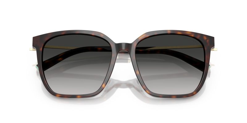 Tiffany & Co TF4244D-80153C - Folded View