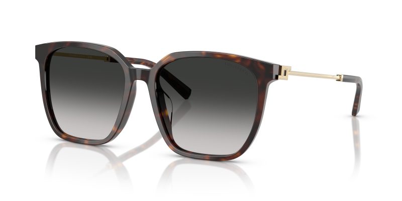 Tiffany & Co TF4244D-80153C - Quarter View