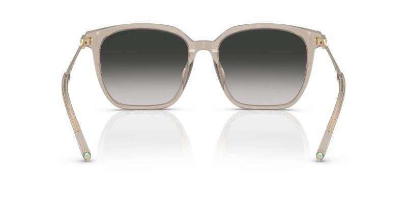 Tiffany & Co TF4244D-82503C - Back View