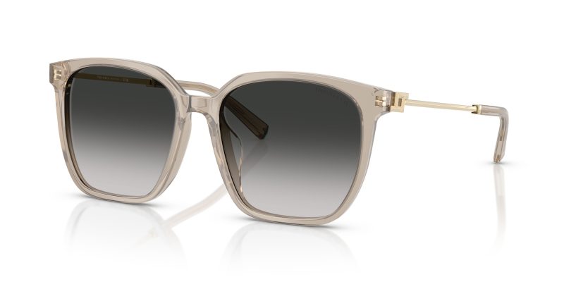 Tiffany & Co TF4244D-82503C - Quarter View