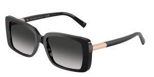 Tiffany & Co TF4249F-80013C