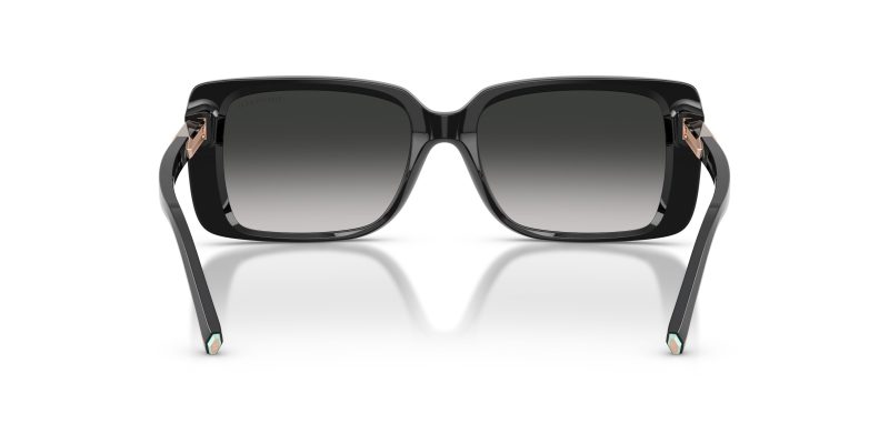 Tiffany & Co TF4249F-80013C - Back View