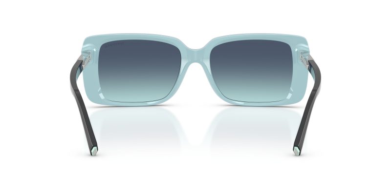 Tiffany & Co TF4249F-80559S - Back View