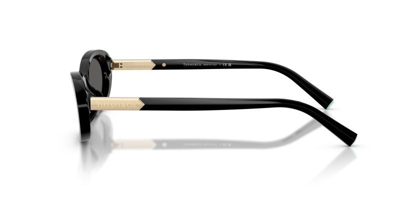 Tiffany & Co TF4250-8001S4 - Side View