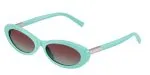 Tiffany & Co TF4250-8388V5