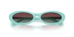 Tiffany & Co TF4250-8388V5 - Folded View
