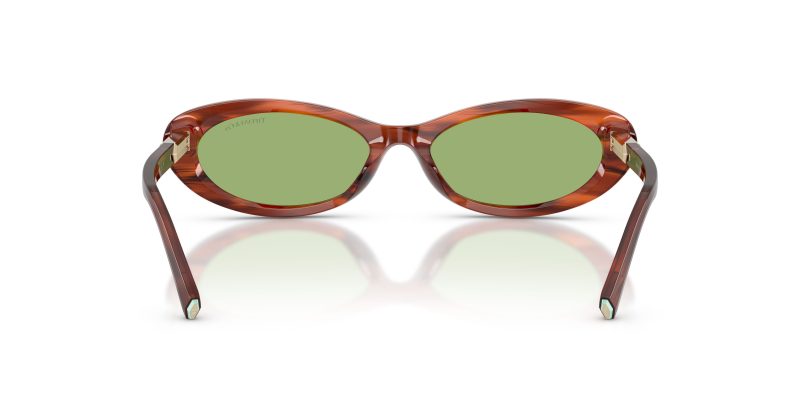 Tiffany & Co TF4250-8440/2 - Back View