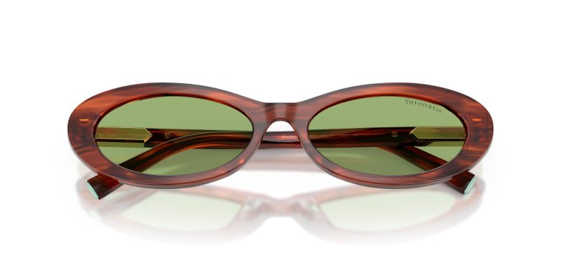 Tiffany & Co TF4250-8440/2 - Folded View