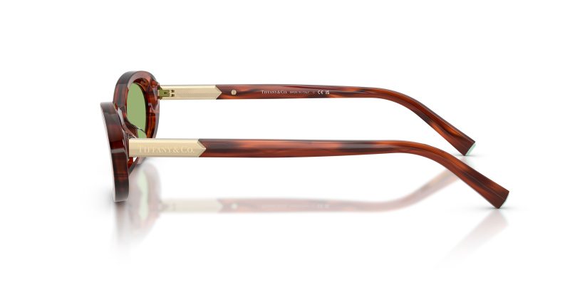 Tiffany & Co TF4250-8440/2 - Side View