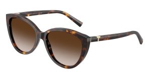 Tiffany & Co TF4251F-80153B