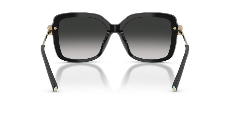 Tiffany & Co TF4252B-80013C - Back View