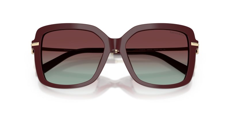 Tiffany & Co TF4252B-8389V5 - Folded View