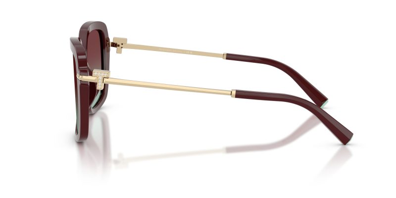 Tiffany & Co TF4252B-8389V5 - Side View