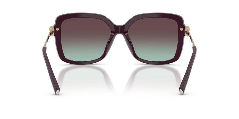 Tiffany & Co TF4252B-8427V7 - Back View