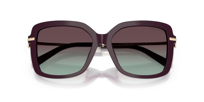 Tiffany & Co TF4252B-8427V7 - Folded View