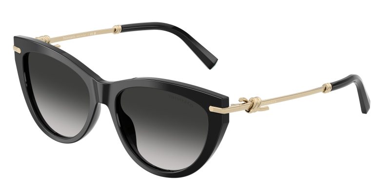 Tiffany & Co TF4253F-80013C