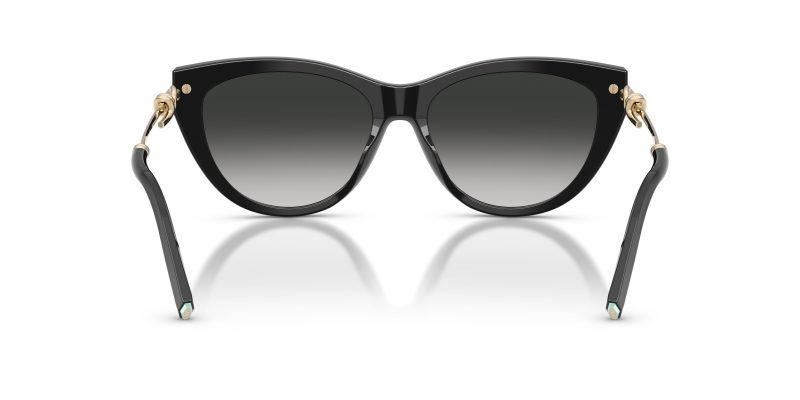 Tiffany & Co TF4253F-80013C - Back View