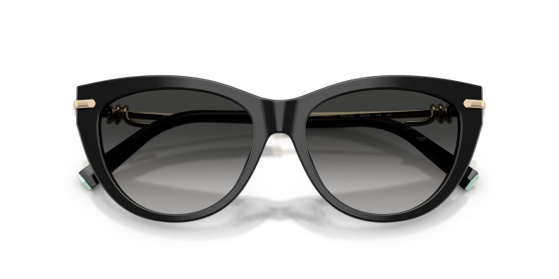 Tiffany & Co TF4253F-80013C - Folded View