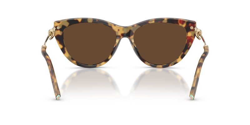 Tiffany & Co TF4253F-80643G - Back View