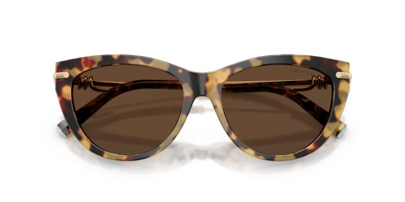 Tiffany & Co TF4253F-80643G - Folded View