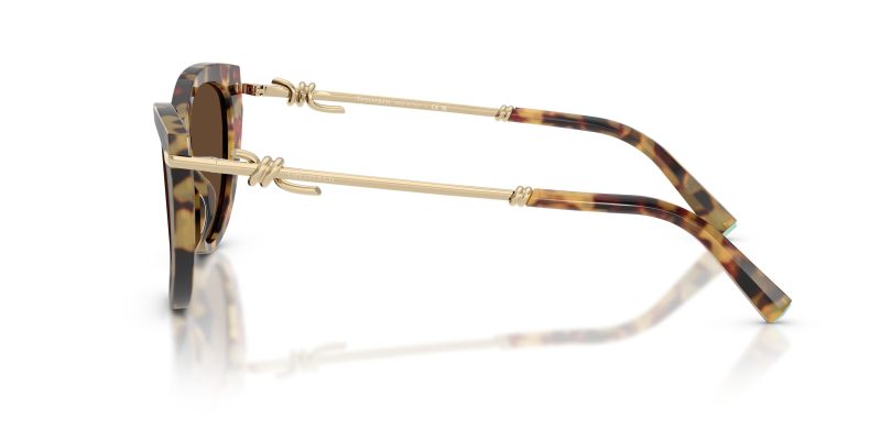 Tiffany & Co TF4253F-80643G - Side View