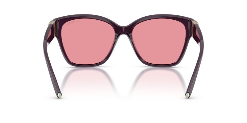 Tiffany & Co TF4254U-84279L - Back View