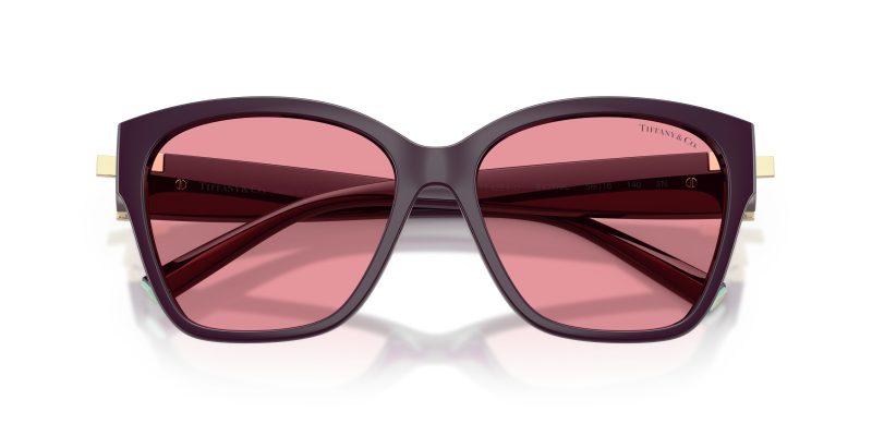 Tiffany & Co TF4254U-84279L - Folded View