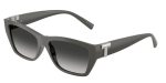 Tiffany & Co TF4255U-84463C