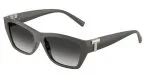 Tiffany & Co TF4255U-84463C Tiffany & Co TF4255U-84463C