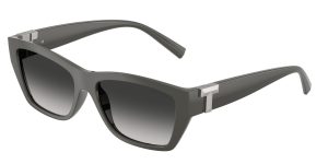 Tiffany & Co TF4255U-84463C