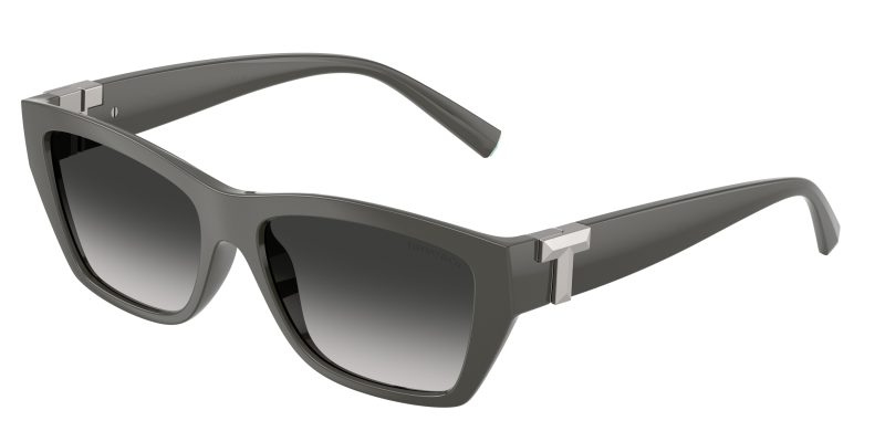 Tiffany & Co TF4255U-84463C