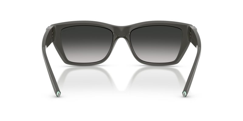 Tiffany & Co TF4255U-84463C - Back View