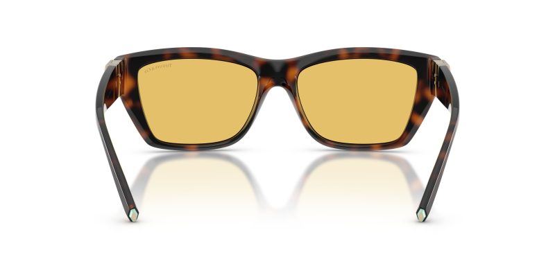 Tiffany & Co TF4255U-845685 - Back View