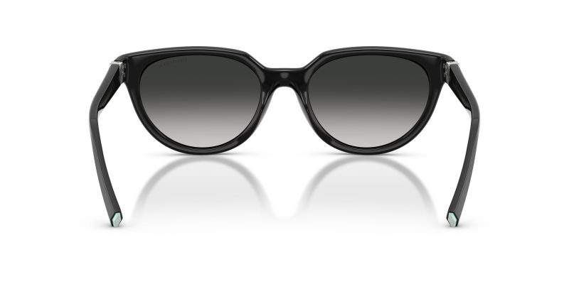 Tiffany & Co TF4256D-80013C - Back View