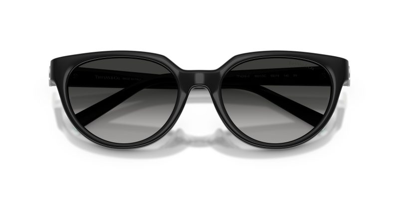 Tiffany & Co TF4256D-80013C - Folded View