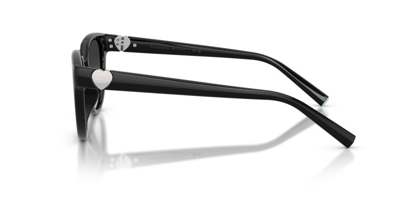 Tiffany & Co TF4256D-80013C - Side View