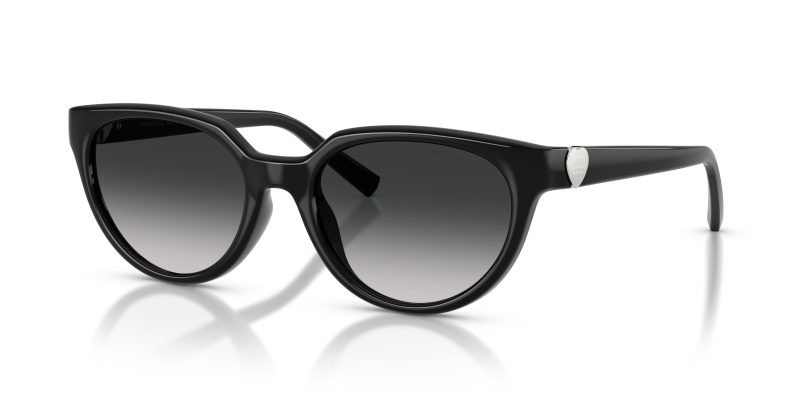 Tiffany & Co TF4256D-80013C - Quarter View