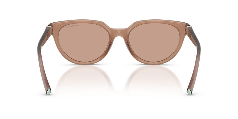 Tiffany & Co TF4256D-844973 - Back View