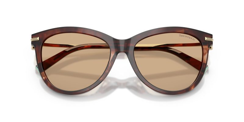 Tiffany & Co TF4258BU-8421/8 - Folded View