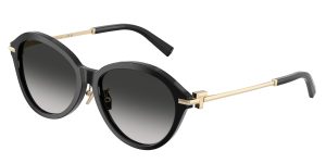 Tiffany & Co TF4259F-80013C