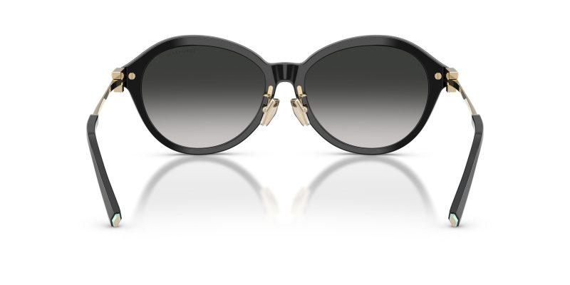 Tiffany & Co TF4259F-80013C - Back View