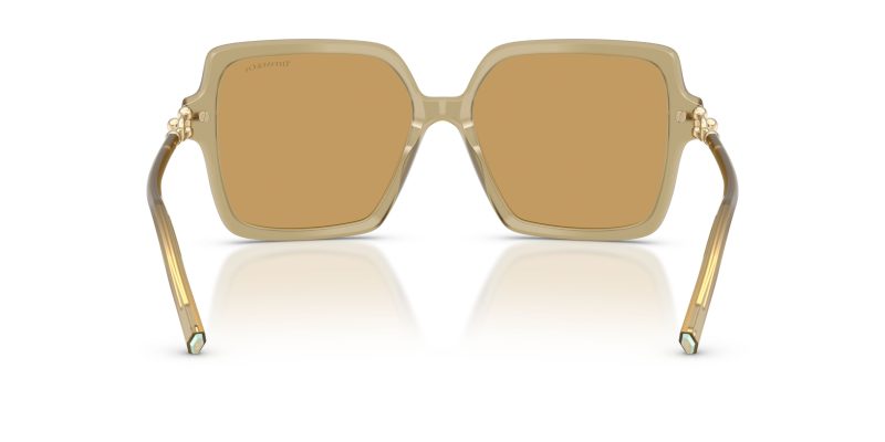 Tiffany & Co TF4260U-846173 - Back View