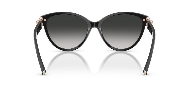 Tiffany & Co TF4261F-80013C - Back View