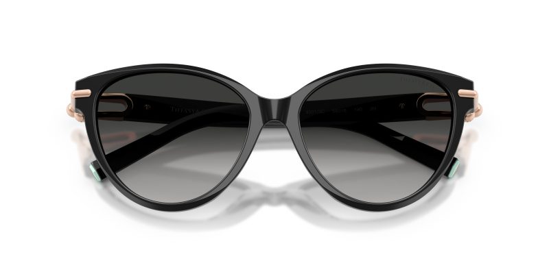 Tiffany & Co TF4261F-80013C - Folded View