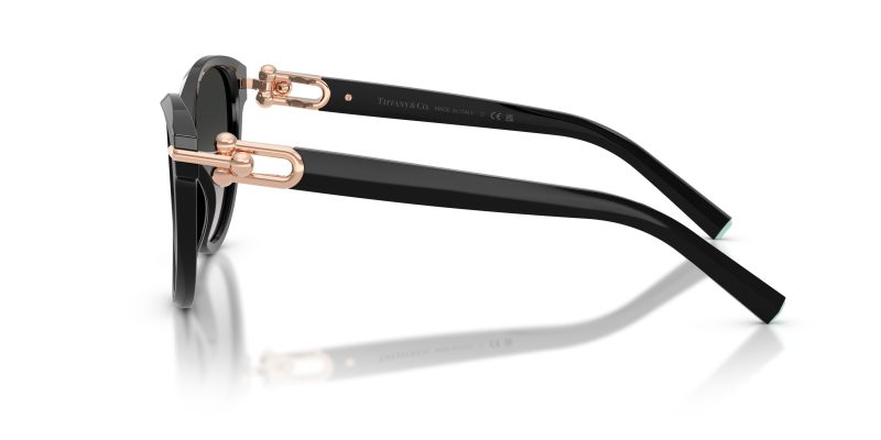 Tiffany & Co TF4261F-80013C - Side View