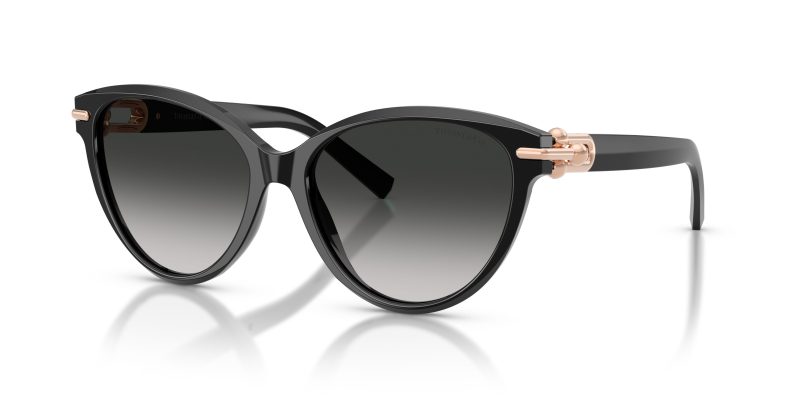 Tiffany & Co TF4261F-80013C - Quarter View