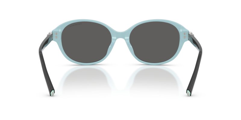 Tiffany & Co TF4263D-8055S4 - Back View