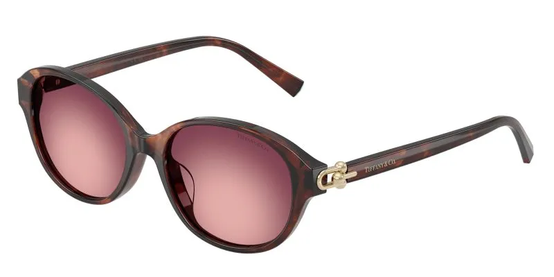 Tiffany & Co TF4263D-84218H